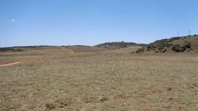 5b4804f7d8b53.jpg 640.jpg