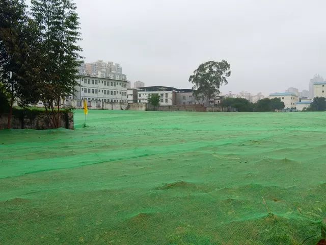 5c1cafbd420ca.jpg 7.jpg