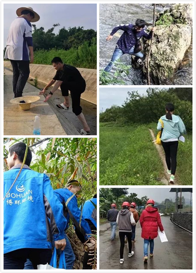 5d4c65197c671.jpg 1.jpg