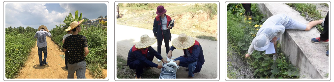 5d559154780d7.png 2.png